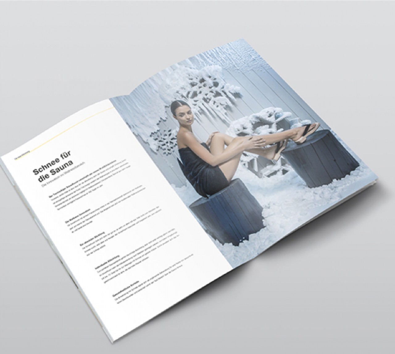 pacheragency technoalpin project image 03